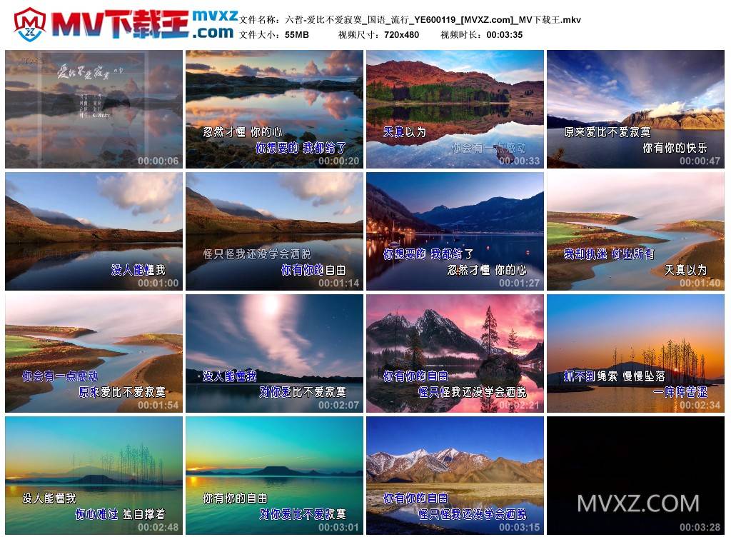 六哲-爱比不爱寂寞_国语_流行_YE600119